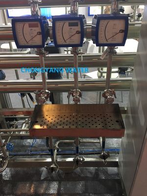 Sistema de agua de farmacia Sistema de agua purificada para farmacia con DQ IQ OQ FAT SAT